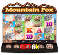 bet6k.com